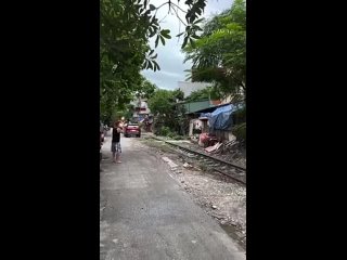 video from telegram