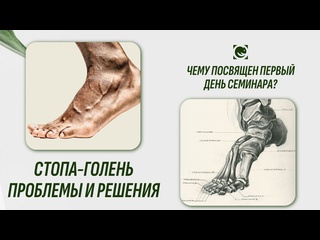 stop and lower leg. the first day of the seminar. tatyana yakovleva