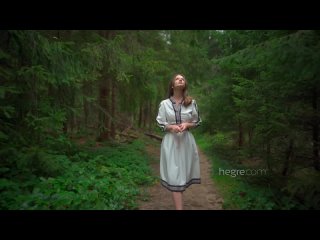 video by sergey obraztsov