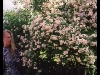 video by sergey obraztsov