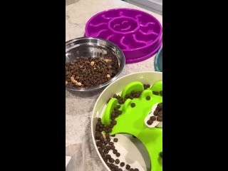 video from pro humor / bayan | @videfunny