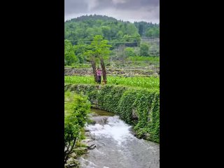 video from pro humor / bayan | @videfunny