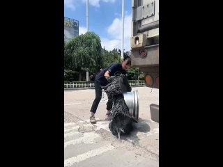 video from pro humor / bayan | @videfunny