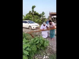 she showed how to fasten correctly | @videfunny