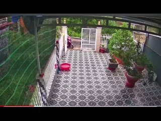 video from pro humor / bayan | @videfunny