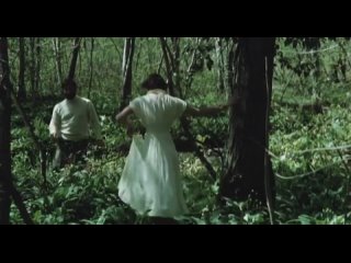 video by sergey obraztsov