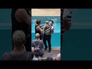 the hardest critic toms, and he is not impressed by sea worldmime funny tomtheme shorts - [eryka travel]